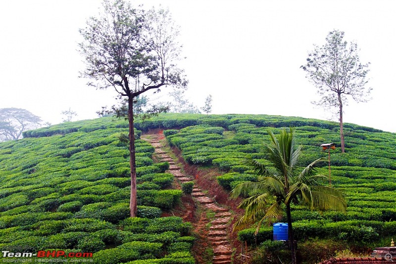 Bangalore to Wayanad Meet & Drive. 8th & 9th November, 2014-5.jpg