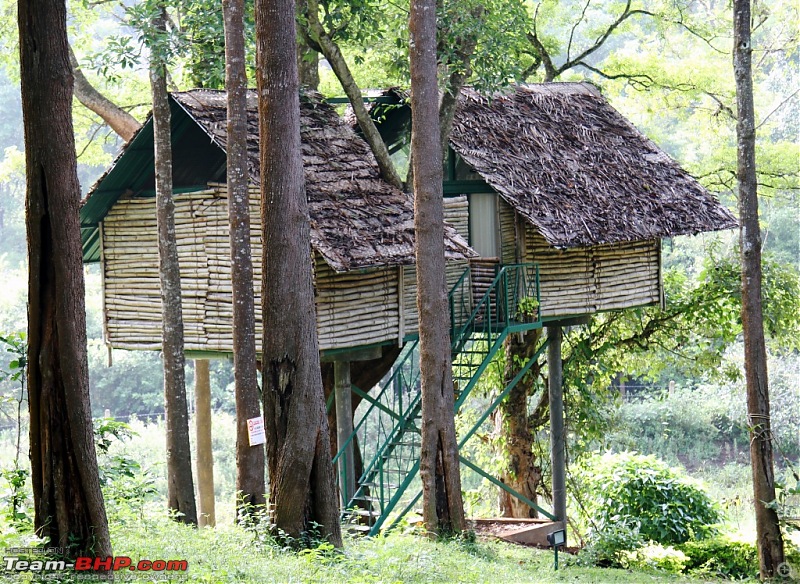 Team-BHP Meet @ Biligiriranga Hills: 30/31 May, 2015-img_8349.jpg