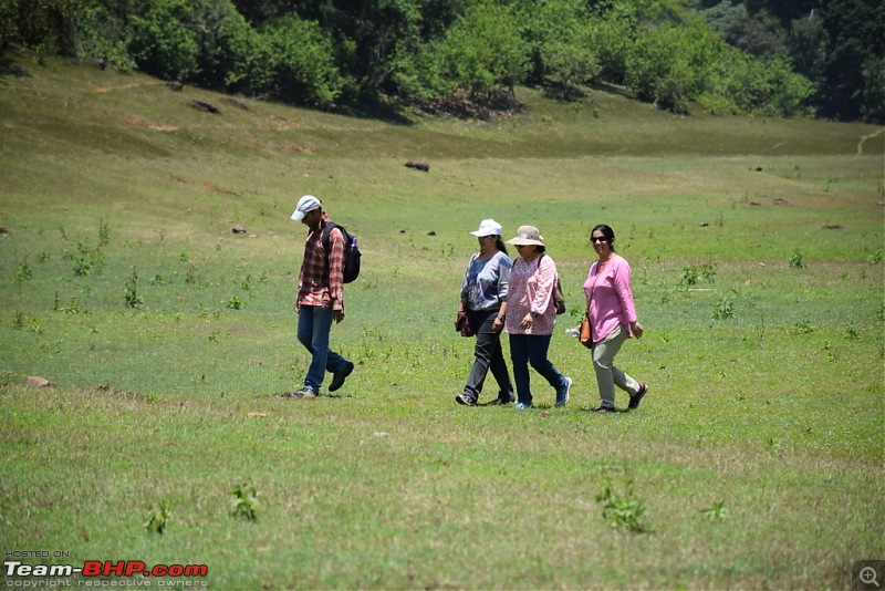 Team-BHP Meet @ Thekkady : 24th - 26th March, 2017-06forestexit.jpg