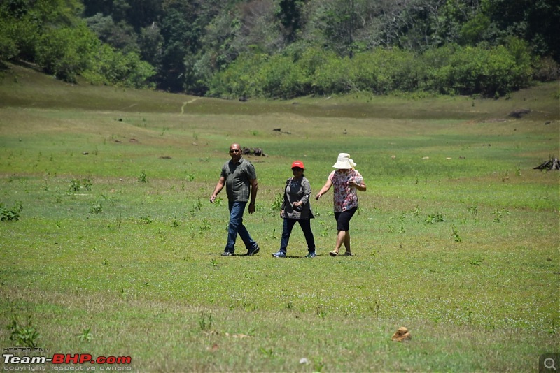 Team-BHP Meet @ Thekkady : 24th - 26th March, 2017-08forestexit.jpg