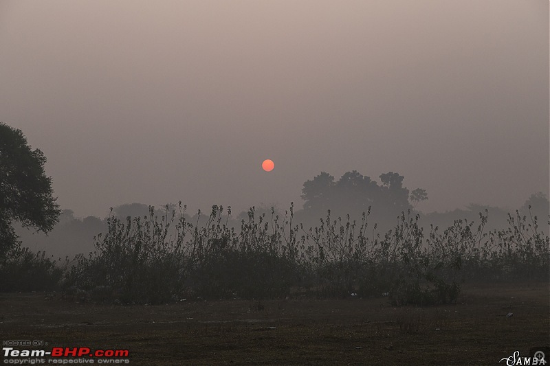 Kolkata Winter Meet - 19th Jan, 2019-em-1.jpg