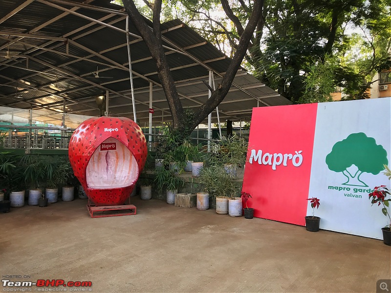 Mumbai - Pune Breakfast Drive to Mapro Garden, Lonavala : Sun 19th Jan, 2020-img_e30871.jpg