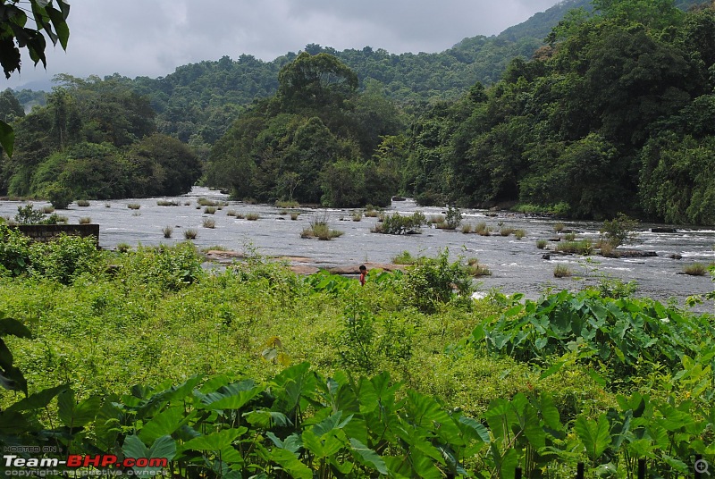 Bangy Drive to Athirapally waterfalls (Indian Niagara)-dsc_0063.jpg