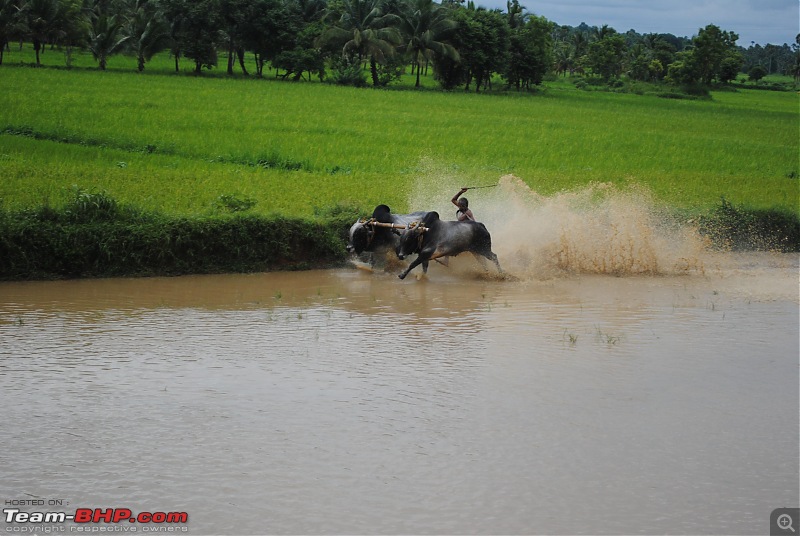 Bangy Drive to Athirapally waterfalls (Indian Niagara)-dsc_0189.jpg