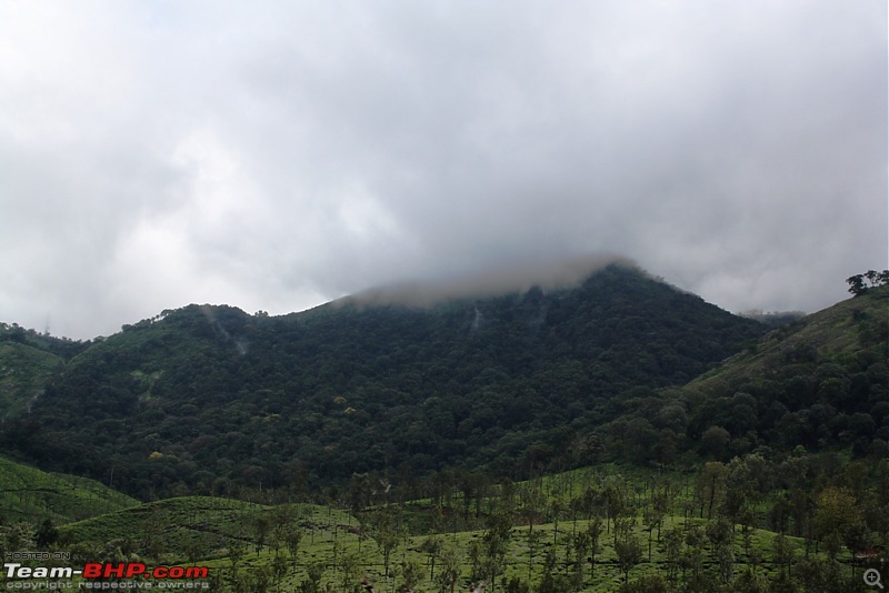 Bangy Drive to Athirapally waterfalls (Indian Niagara)-img_1411.jpg