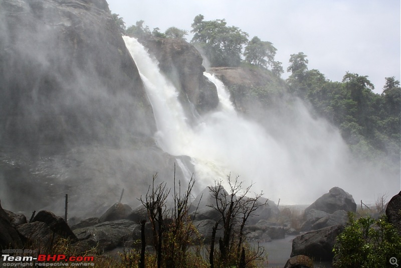 Bangy Drive to Athirapally waterfalls (Indian Niagara)-img_1485.jpg