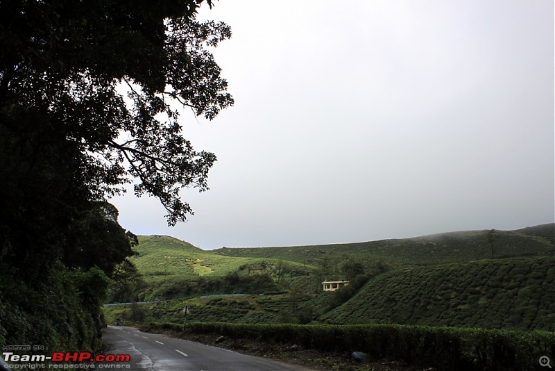 Bangy Drive to Athirapally waterfalls (Indian Niagara)-img_0052.jpg