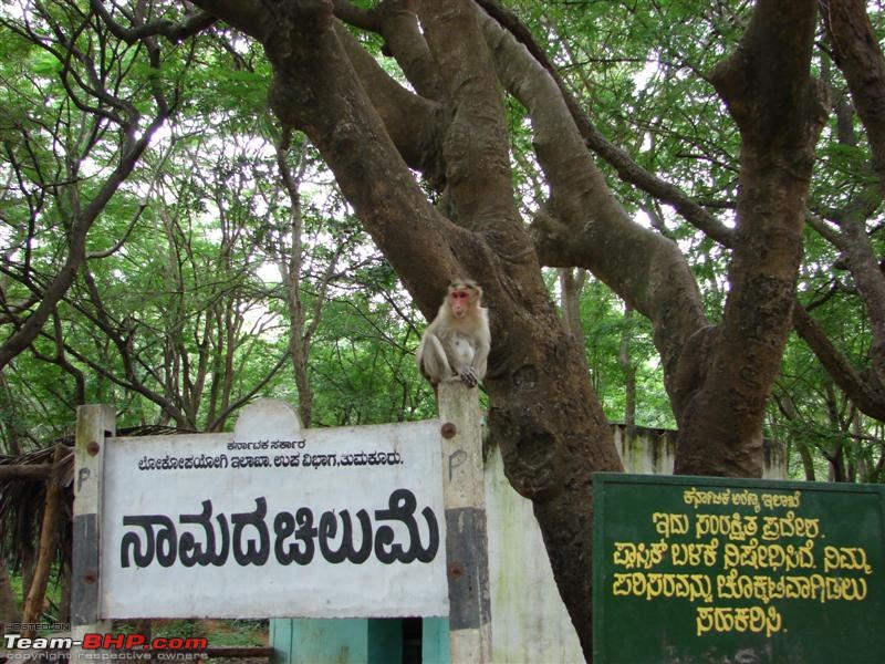 Thatte Idly Meet - Tumkur-welcome-namada-chilume.jpg