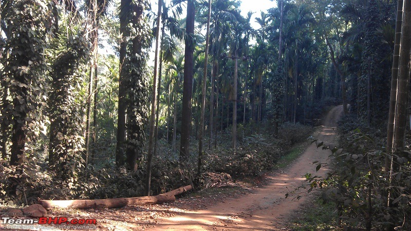 Chikmagalur: Cars, Coffee & TBHP Champs :)-imag0164.jpg