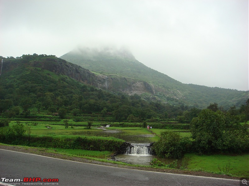 Monsoon Drive - Malshej Ghat!-dsc03077.jpg