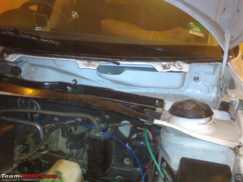 Rat damage to cars | Protection, solutions & advice-dsc00937.jpg