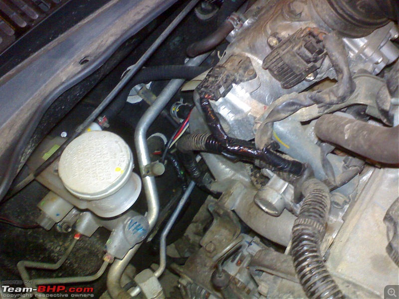 Rat damage to cars | Protection, solutions & advice-dsc00948.jpg