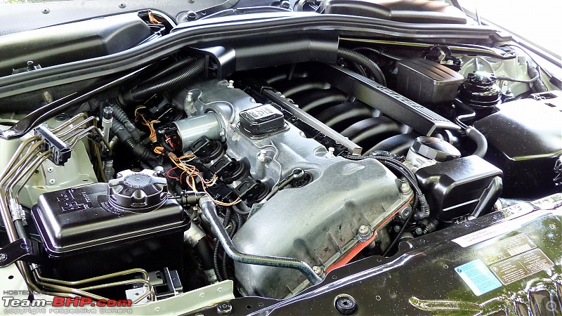 How to Clean the Engine Bay?-p1100915.jpg