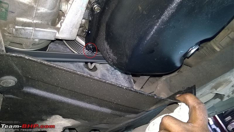 Engine oil leak?-oil-leakage.jpg