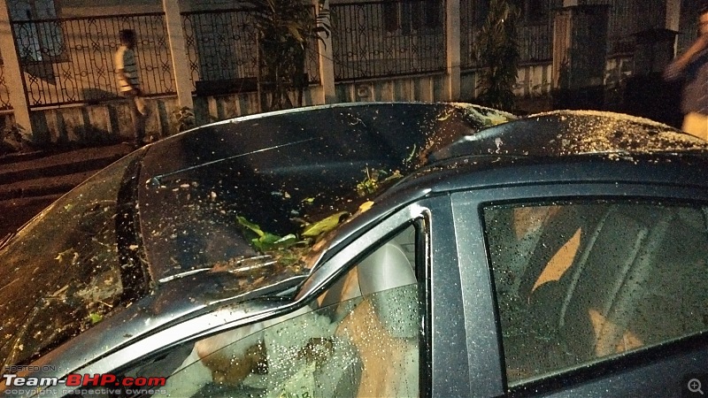 Tree branch falls on Nissan Sunny - Now what?-img_20150611_221244.jpg