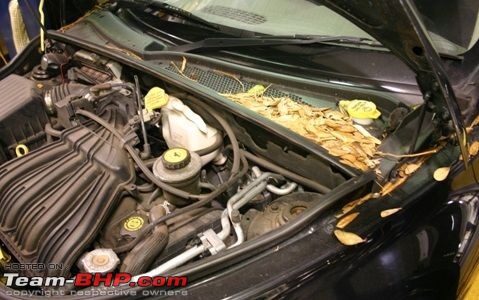 Water Leakage in cars - Causes & solutions-cowl-clogged.jpg