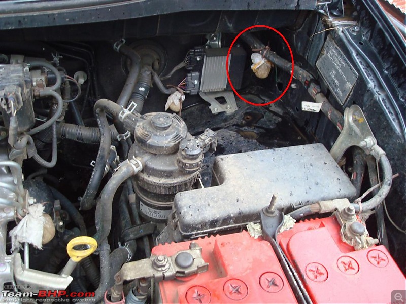 Rat damage to cars | Protection, solutions & advice-dsc02865.jpg