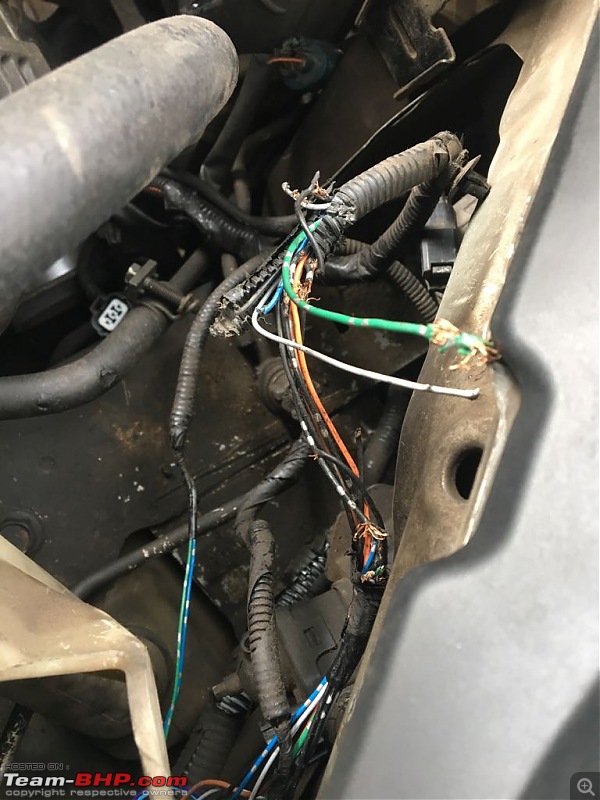 Rat damage to cars | Protection, solutions & advice-whatsapp-image-20180124-10.08.05-am.jpeg