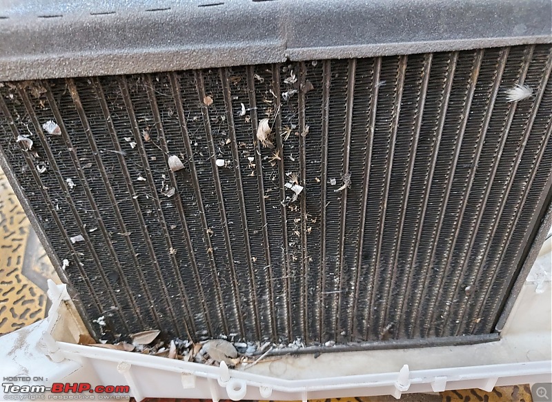 Aircons! Demystifying the car air-conditioning system, Part 2-gv_evapcoil_beforecleaning.jpg