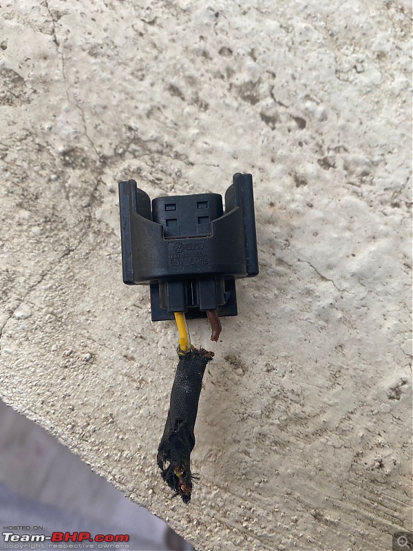 VW Vento TSI 1.2 Rat Chewed fog lamp cable-chewed-cable.jpg