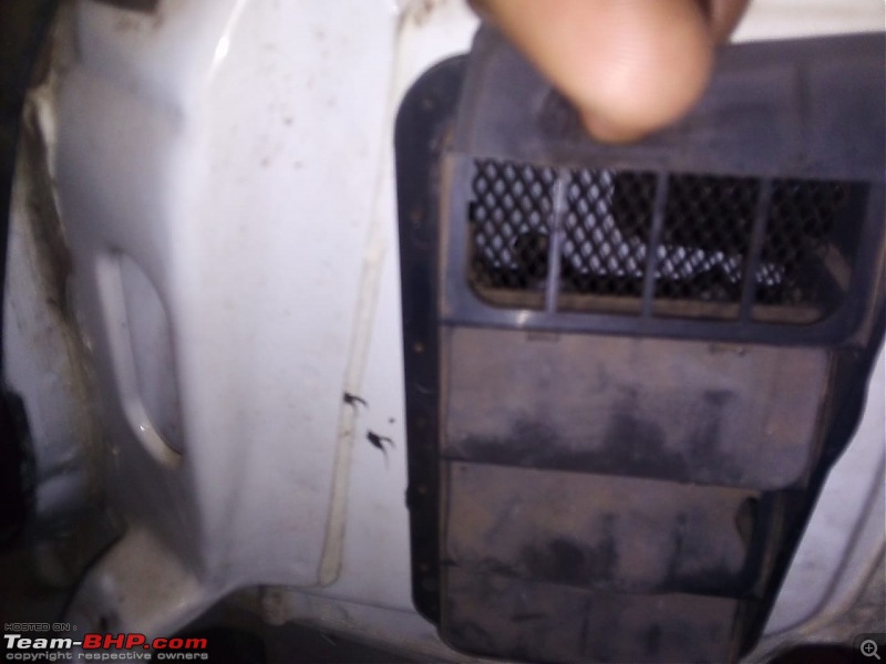 Rat damage to cars | Protection, solutions & advice-img20230119wa0003.jpg