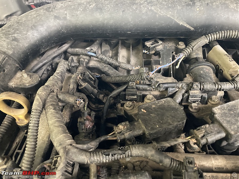 Rat damage to cars | Protection, solutions & advice-img_5914.jpeg