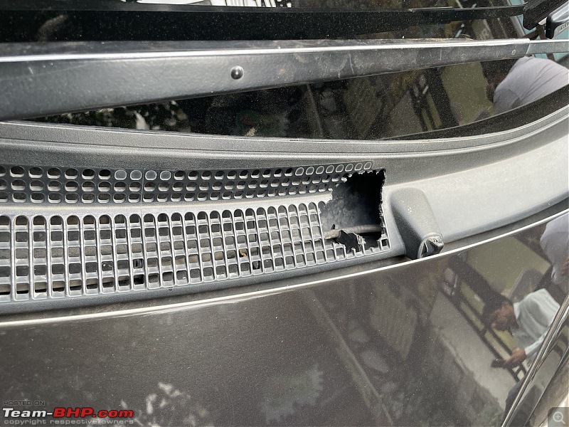 Rat damage to cars | Protection, solutions & advice-photo_20231001_202514.jpg
