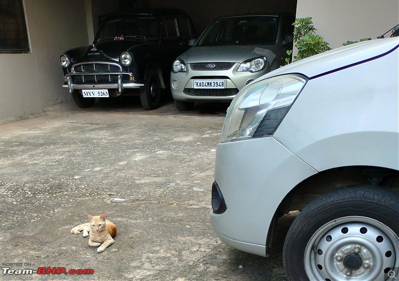 Rat damage to cars | Protection, solutions & advice-img_20231002_173337.jpg