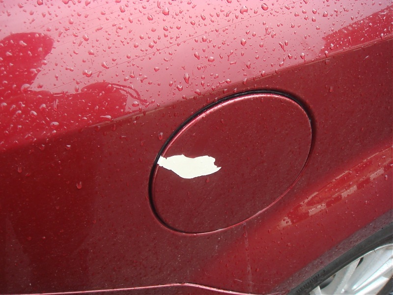 Fiat Linea - Various niggling issues? Post your experiences here.-dsc02102.jpg