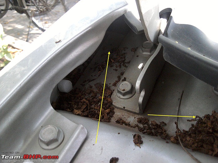 Rat damage to cars | Protection, solutions & advice-ratalto1.jpg