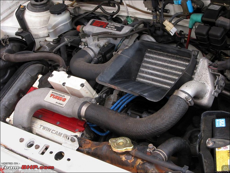 Turbocharged 800 Oil Cooler-engine.jpg