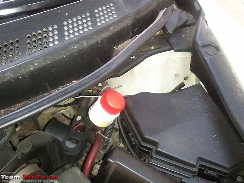 Rat damage to cars | Protection, solutions & advice-20120410-17.38.11-custom.jpg