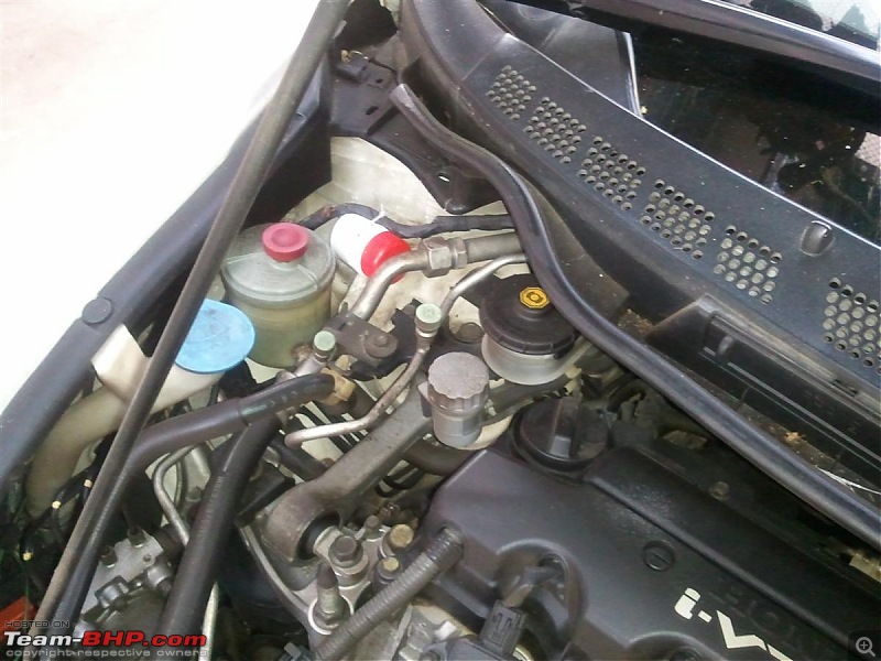 Rat damage to cars | Protection, solutions & advice-20120410-17.38.23-custom.jpg