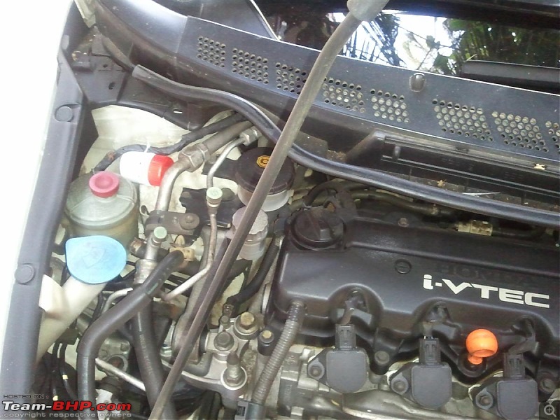 Rat damage to cars | Protection, solutions & advice-20120410-17.38.42-custom.jpg