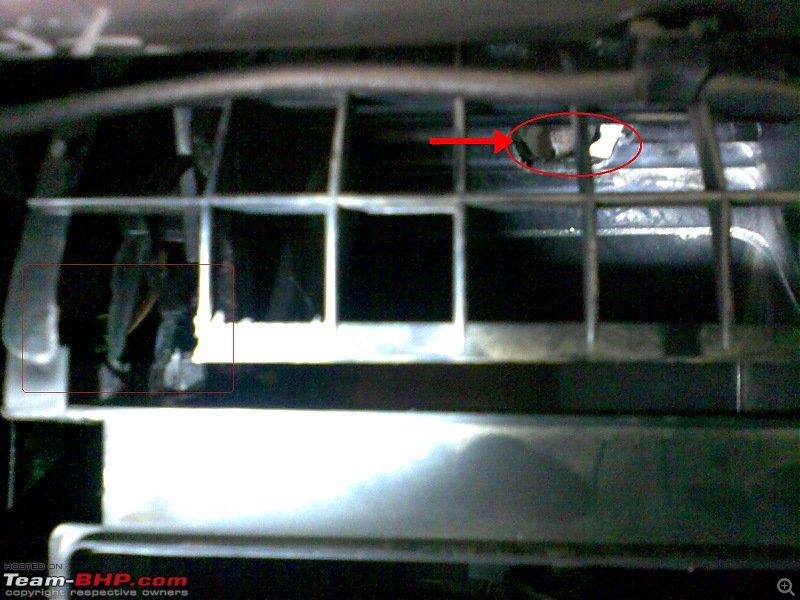 Rat damage to cars | Protection, solutions & advice-image070.jpg