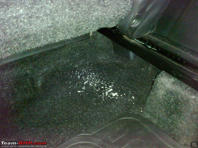 Rat damage to cars | Protection, solutions & advice-rats.jpg