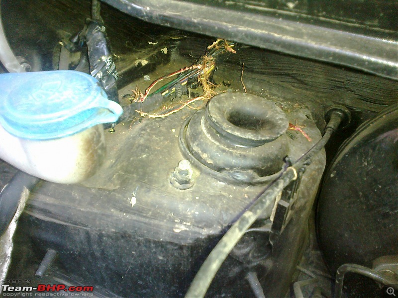 Rat damage to cars | Protection, solutions & advice-abcd0011.jpg