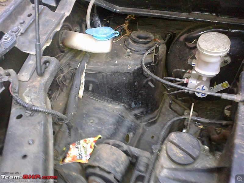 Rat damage to cars | Protection, solutions & advice-abcd0014.jpg