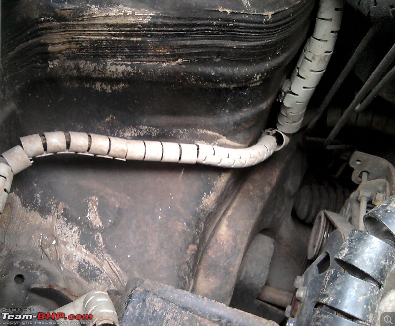 Rat damage to cars | Protection, solutions & advice-11.jpg