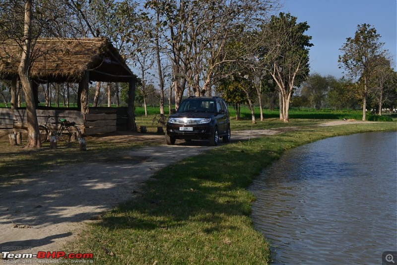 TATA Safari Storme EX Urban Bronze-Buying Experience Initial Ownership Report-dsc_1512.jpg