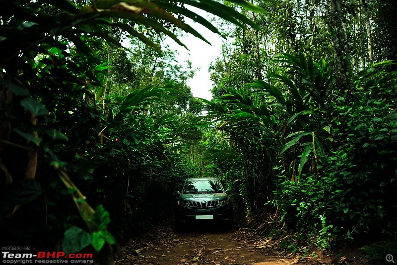 M(y) Hawk - Grey Mahindra XUV500 W6, 62000 kms update-3.jpg