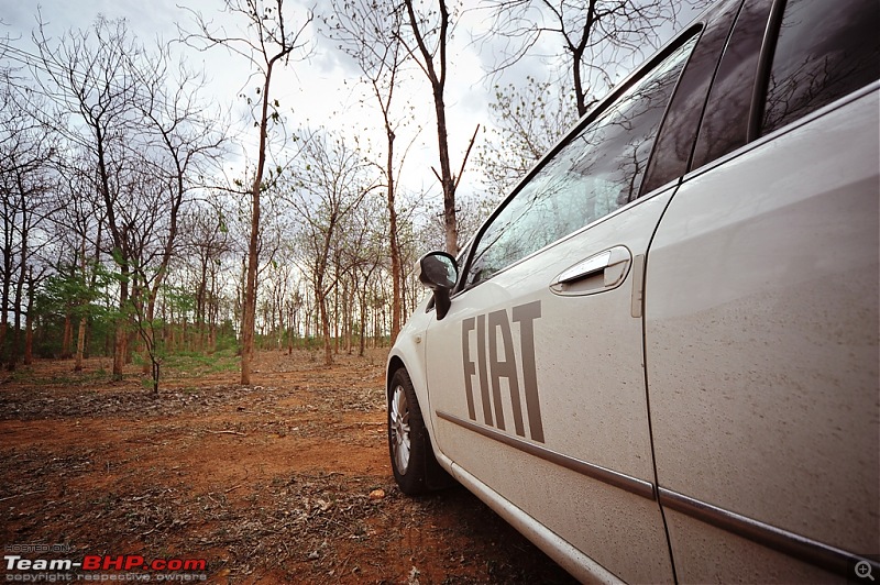 Renaissance of my JET - White FIAT Linea T-Jet+ (27,000 Kms Up)-16.jpg