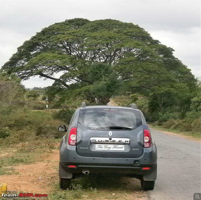 The Grey Hound: My Renault Duster 85 RXL-p8090357_cr.jpg