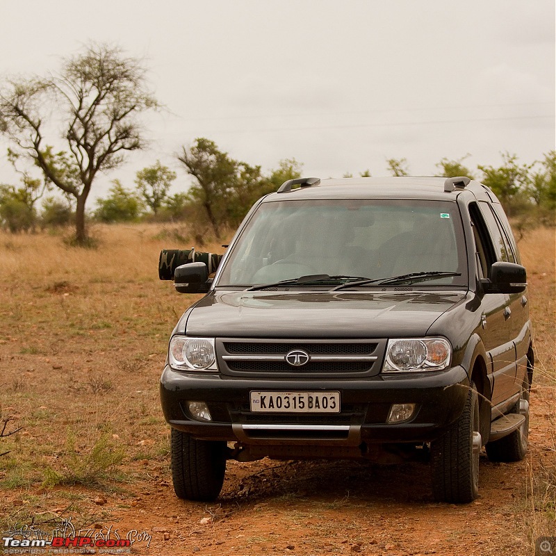 Tata Safari- Bringing the black monster home!-blackbuck-reserve.jpg