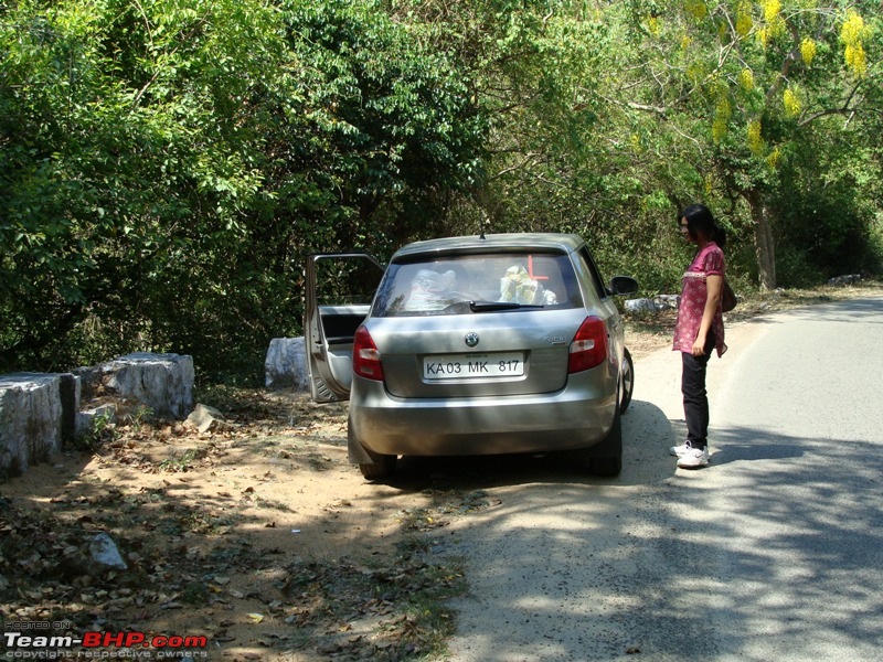 Skoda Fabia reviews (petrol and diesel)-copy-dsc00729.jpg