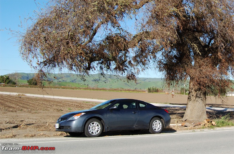 2008 Nissan Altima 2.5 S Coupe (Review)-altima1.jpg