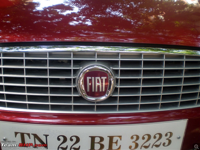 Fiat Linea - 2nd Birthday !!!-p4280059.jpg