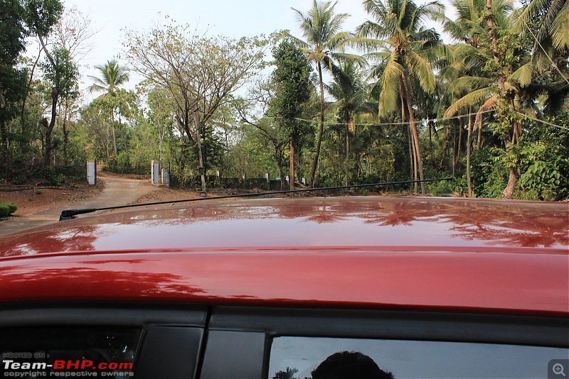 French Connection - A Renault Kwid comes home-long-antenna.jpg