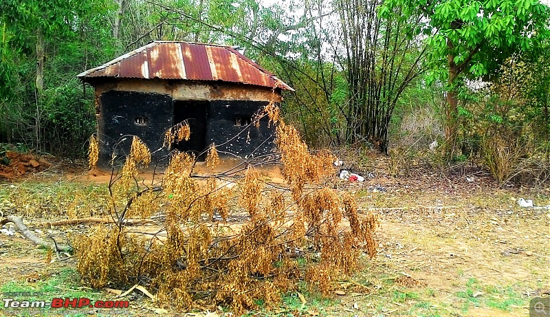 My Diesel Ford Figo Zxi - 3 years, 64,000 km and gone-14.jpg