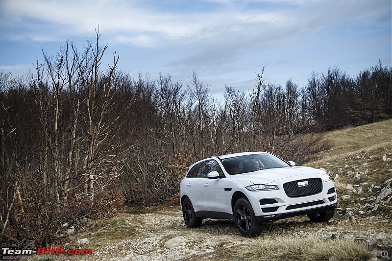 Driven: Jaguar F-Pace-glacierwhite_135.jpeg